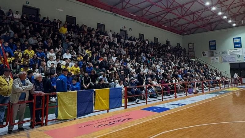 Immagine del post 13690 - Bari Follia sul campo di basket, tifoso spinge giocatore: sospeso match tra Ceglie Messapica e Molfetta - Bari