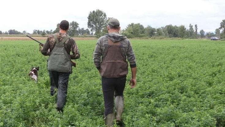 Immagine del post 13684 - Bari Salento, cacciatore spara tra gli alberi e sfiora un uomo che raccoglie olive: “Poteva morire” - Bari