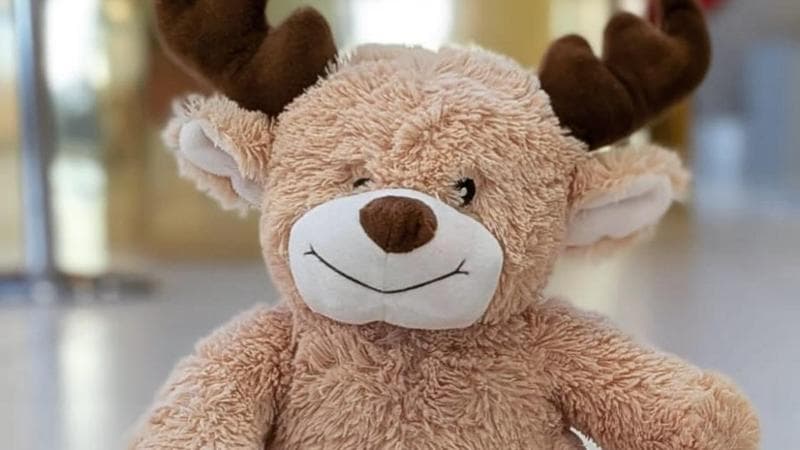 “Mi aiutate a tornare a casa?”. Nell’aeroporto smarrito peluche: appello per trovare il proprietario - Bari