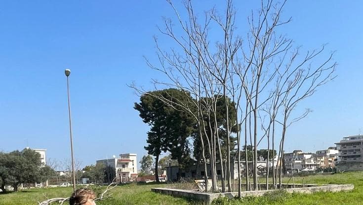 Immagine del post 18174 - Bari A Bari nascerà un parco di 12 ettari nell’ex compendio Rai di Ceglie del Campo - Bari