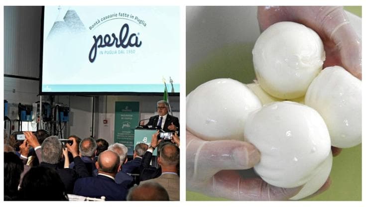 Granarolo rilancia sul marchio Perla: a Gioia del Colle il nuovo caseificio tra burrate e mozzarelle - Bari