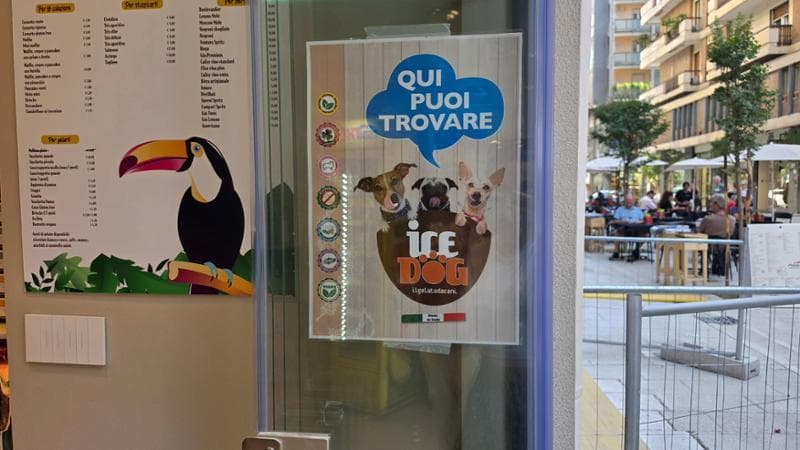 Immagine del post 21553 - Bari A Bari arriva il gelato per cani, in via Argiro anche gli animali hanno diritto a una dolce pausa - Bari