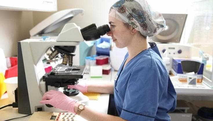 Immagine del post 23796 - Bari Fecondazione assistita, in Puglia via libera ai fondi per aiutare le donne a congelare gli ovociti - Bari