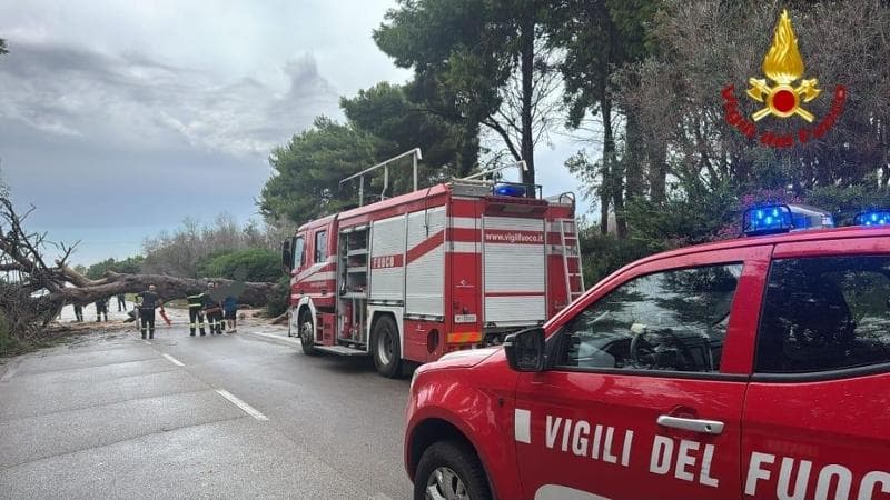 Immagine del post 11487 - Bari Maltempo, in Salento crollano alberi. Fulmine incendia il tetto di una casa: in salvo 4 persone - Bari