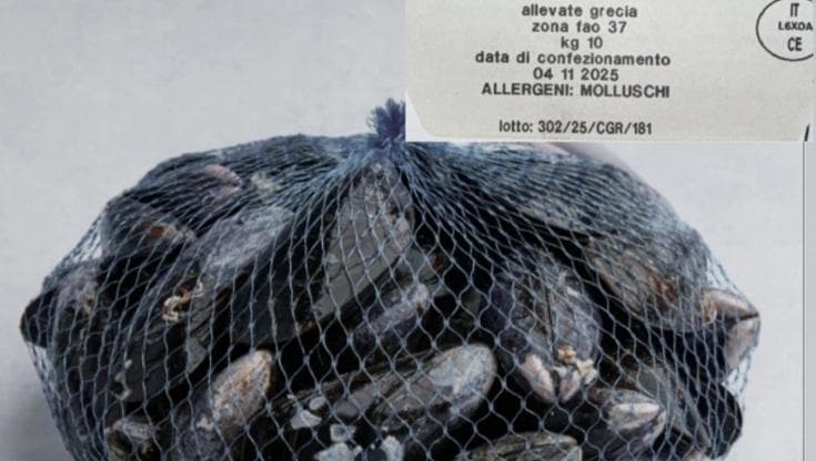 Immagine del post 13745 - Bari Taranto, lotto di cozze ritirato dal mercato. Ministero della salute: "Rischio escherichia coli" - Bari