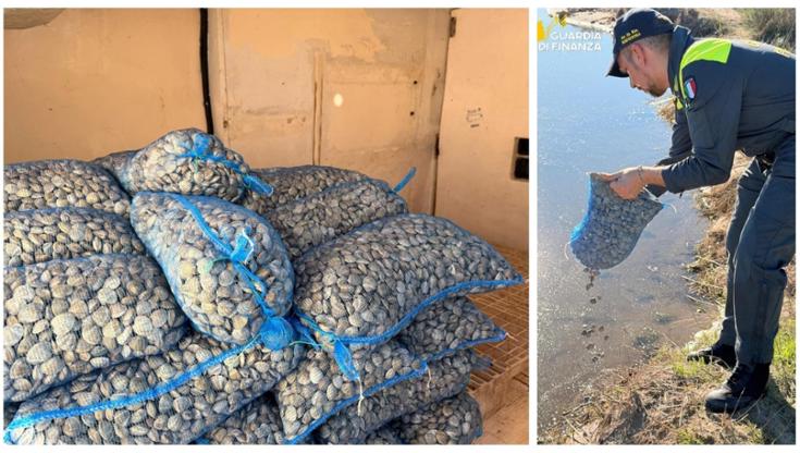 Immagine del post 14846 - Bari A Manfredonia maxisequestro di vongole pericolose per la salute: erano per le tavole delle feste - Bari