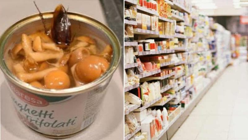 Immagine del post 17130 - Bari Trova una blatta nella lattina di funghi trifolati: dopo la denuncia Lidl ritira il lotto - Bari