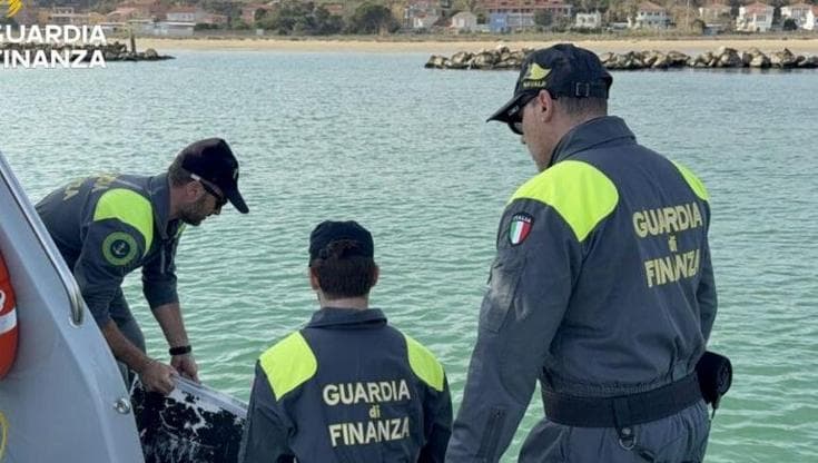 Immagine del post 18194 - Bari Dalla Puglia al Molise per prendere 200 chili di ricci: pescatore abusivo multato per 20mila euro - Bari