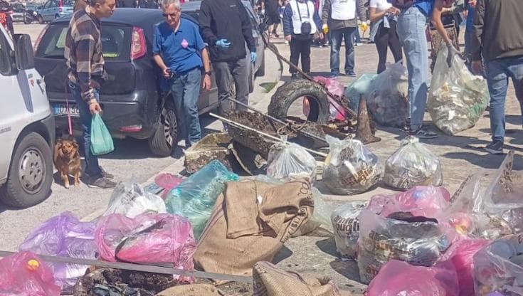 Immagine del post 5733 - Bari I volontari ripuliscono il lungomare di Bari: tra acqua e costa recuperati 600 chili di rifiuti - Bari
