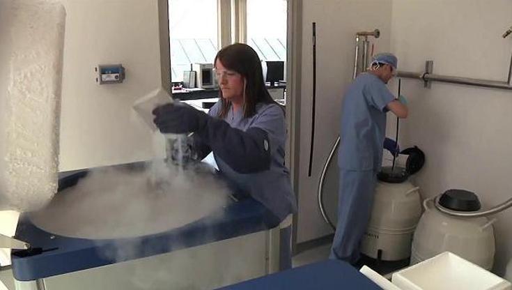 Social freezing, la Puglia sostiene le donne che vogliono congelare ovuli: “Prima regione in Italia” - Bari
