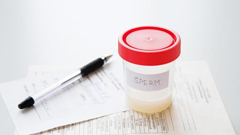 Immagine del post 8357 - Bari “Il nostro sperma a chi non ha diritti”, le storie dei donatori clandestini ingaggiati sui social - Bari