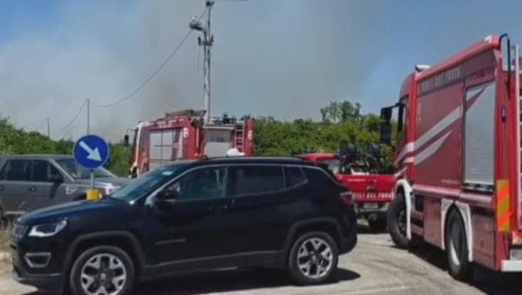 Immagine del post 21618 - Bari In Salento è già emergenza incendi, a Punta Prosciutto in fumo ettari di macchia. Canadair al lavoro - Bari