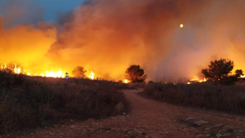 Rogo nel Parco di Otranto, ricompensa per chi fa prendere i piromani. “Ora spezziamo l’omertà” - Bari