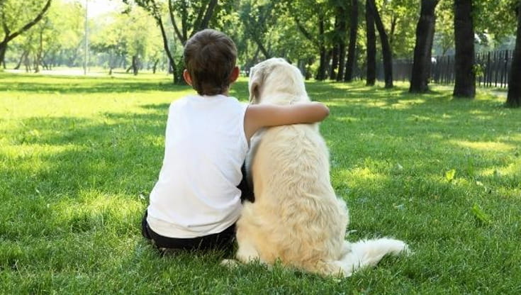 Immagine del post 22709 - Bari Neonati e cani, stessi numeri: “Bari non è una città per bambini. Viviamo un cambiamento culturale” - Bari