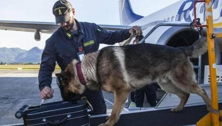 Cinque chili di cocaina in valigia: condannato l’insospettabile salentino sorpreso con droga a Malta - Bari