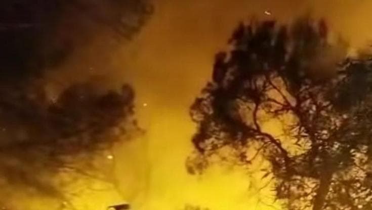 In fiamme la zona di Pino di Lemme, nel Tarantino bruciano alberi secolari e macchia mediterranea - Bari