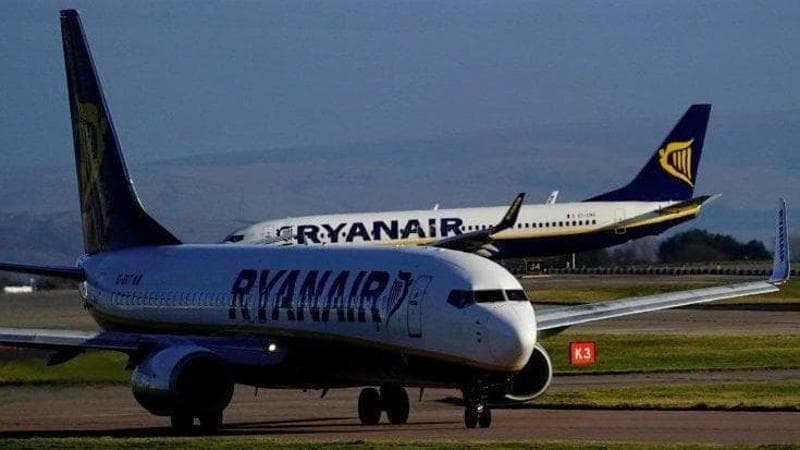 Immagine del post 25937 - Bari Volo da Skiathos a Bari in ritardo: “Non fu bird strike”. Ryanair dovrà pagare 250 euro a passeggero - Bari