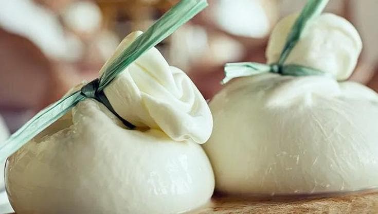 “Il termine burrata non è solo di Andria”: Ue boccia il ricorso pugliese. Via libera alla Campania - Bari