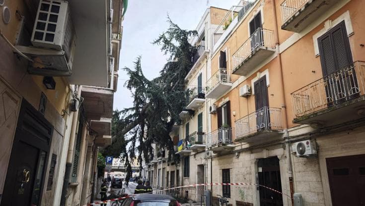 Immagine del post 19326 - Bari Il vento blocca Bari: alberi caduti, treni bloccati. Al Campus volano pannelli da edificio: evacuato - Bari