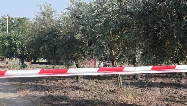 Immagine del post 8424 - Bari Studente ferito alla testa a Torremaggiore, trovata la pistola: era vicino al corpo. È ancora grave - Bari