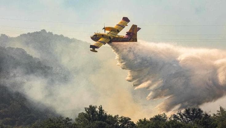 La Puglia brucia, dal 1° giugno distrutti mille ettari. Ma i volontari antincendio: “Stop dal 15” - Bari