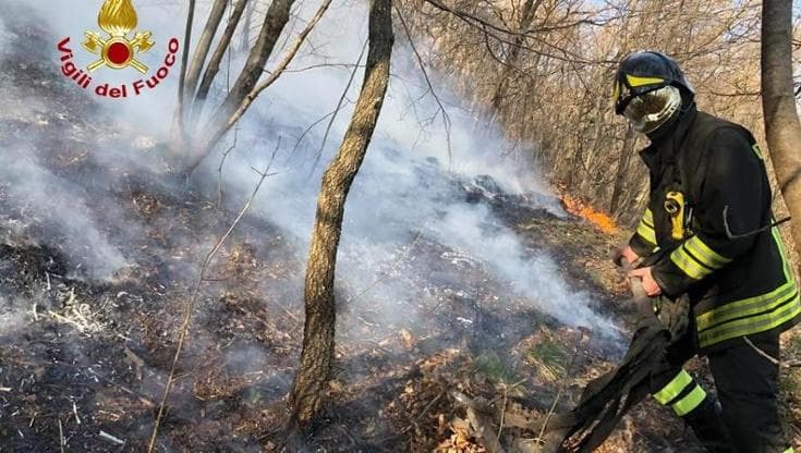Immagine del post 23874 - Bari Fiamme sui monti in provincia di Foggia: a Biccari evacuati i turisti dalle casette sugli alberi - Bari