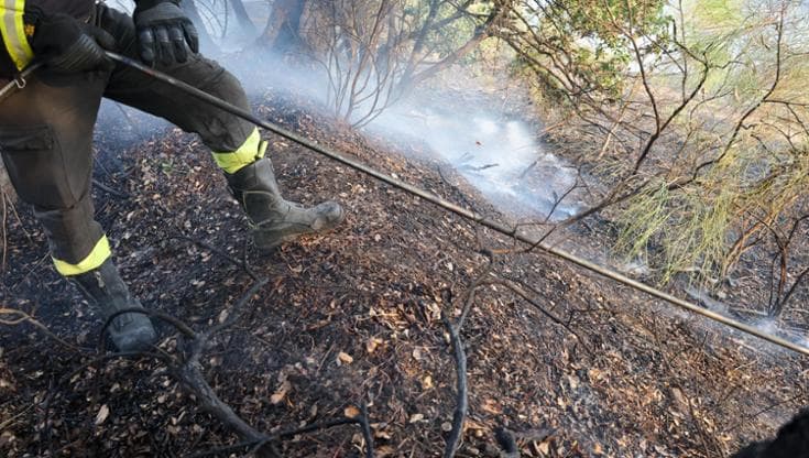 Immagine del post 24865 - Bari Incendi sul Gargano, arrestato un volontario della protezione civile: “Responsabile di 8 roghi” - Bari