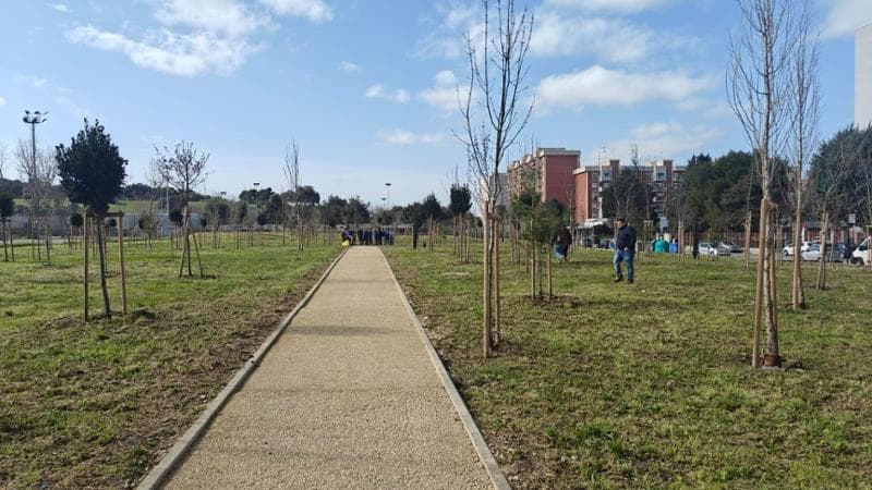 Immagine del post 3892 - Bari A Japigia nasce l’area verde dedicata alle vittime del Covid. “Qui, come promesso, ci sarà un bosco” - Bari