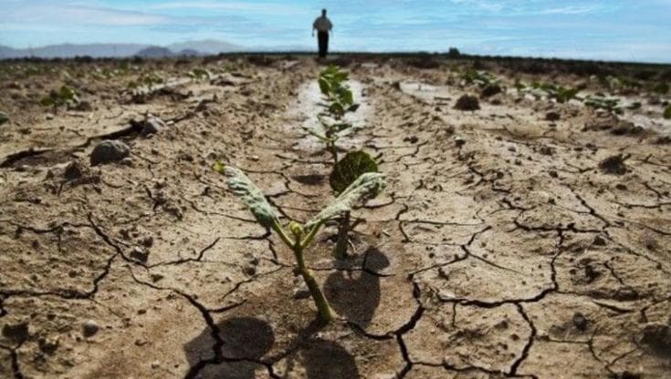 Immagine del post 5794 - Bari Il deserto avanza in Salento, le terre aride sono passate dal 3,3 al 19,3%: “E’ emergenza” - Bari