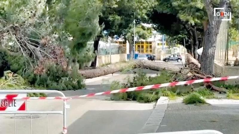 Il vento fa due vittime in Puglia, travolti un operaio e una bambina - Bari