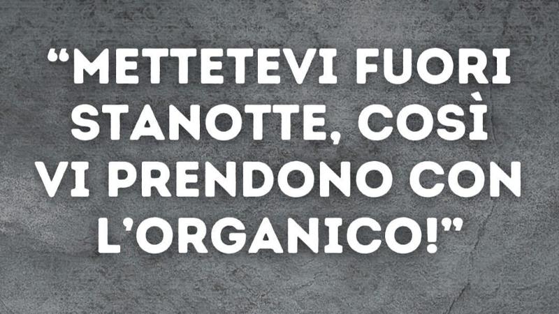 Immagine del post 9614 - Bari Paragona il Pd a rifiuti organici, bufera a Casamassima su consigliere Vacchiano: “Era una battuta” - Bari