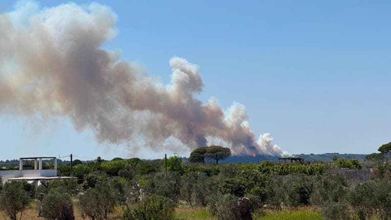 Immagine del post 22796 - Bari Salento, in fiamme collina di Ruffano, evacuate abitazioni: tensione con i proprietari - Bari