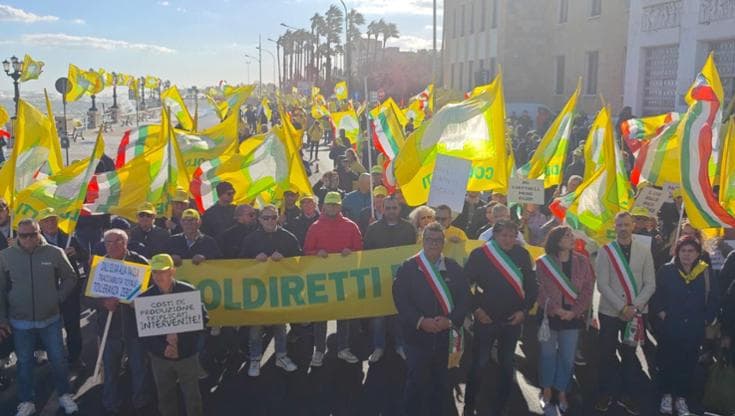 Immagine del post 26010 - Bari “Trafficanti di olio e grano, tolleranza zero”: a Bari agricoltori in piazza con Coldiretti - Bari