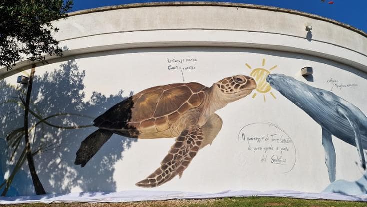 A Torre Guaceto un murale che unisce la riserva al Sudafrica: “Connessi dal mare” - Bari