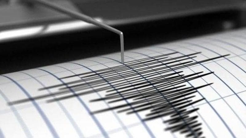 Immagine del post 3934 - Bari “Terremoti, Bari è a basso rischio ma il Gargano è altamente sismico. Ecco come proteggersi” - Bari