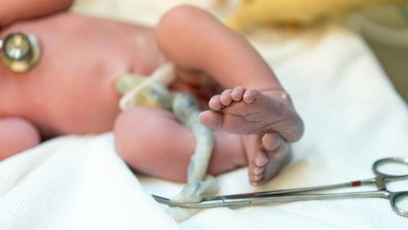 Immagine del post 5871 - Bari Fecero congelare cordoni ombelicali ma i campioni sono andati persi, beffate 70 famiglie pugliesi - Bari