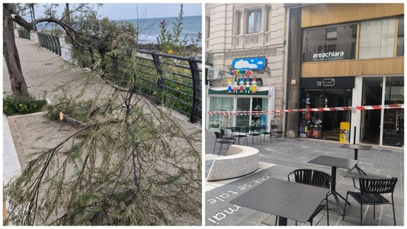 Immagine del post 5909 - Bari Maltempo a Bari, al via la conta dei danni. Tra calcinacci caduti, alberi sferzati e strade chiuse - Bari
