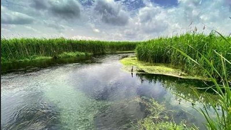 Immagine del post 8489 - Bari Dissalatore sul fiume Tara, presentata denuncia formale alla Commissione Ue: “Salviamo la natura” - Bari