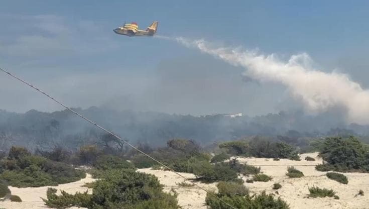Immagine del post 21699 - Bari Incendio nel Parco di Ugento, dopo le fiamme le polemiche: “Il piano della Regione va riscritto” - Bari