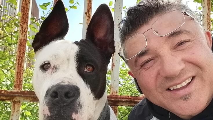 Immagine del post 22808 - Bari Tamara, meticcia antidroga “licenziata” dopo un tumore: l’agente la salva dal canile. “La curerò io” - Bari