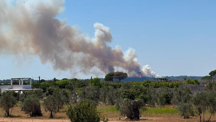 Incendio sulla collina di Ruffano, sfregio all’ambiente. Il sindaco: “Grave ritardo del Canadair” - Bari