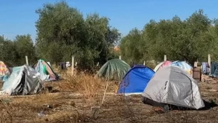 Immagine del post 24935 - Bari Cerignola, 200 braccianti accampati in periferia: allarme Caritas. “Vivono in condizioni disperate” - Bari
