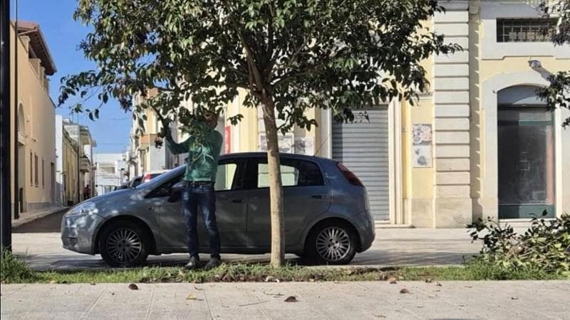 Immagine del post 18328 - Bari Assessore pota personalmente ramo pericoloso, ma in Salento esplode la polemica: “Non è competente” - Bari