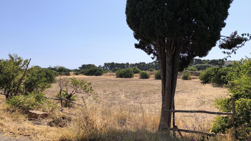 Immagine del post 9684 - Bari Semi di vita lascia il terreno di Japigia: dopo 11 anni addio all’orto sociale di Bari - Bari
