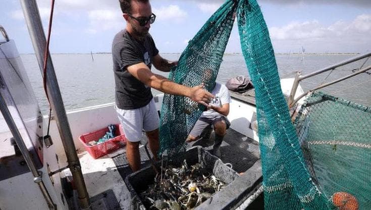 Immagine del post 23949 - Bari Via al fermo biologico in Puglia, stop alle reti per oltre un mese. “Così tuteliamo il nostro mare” - Bari
