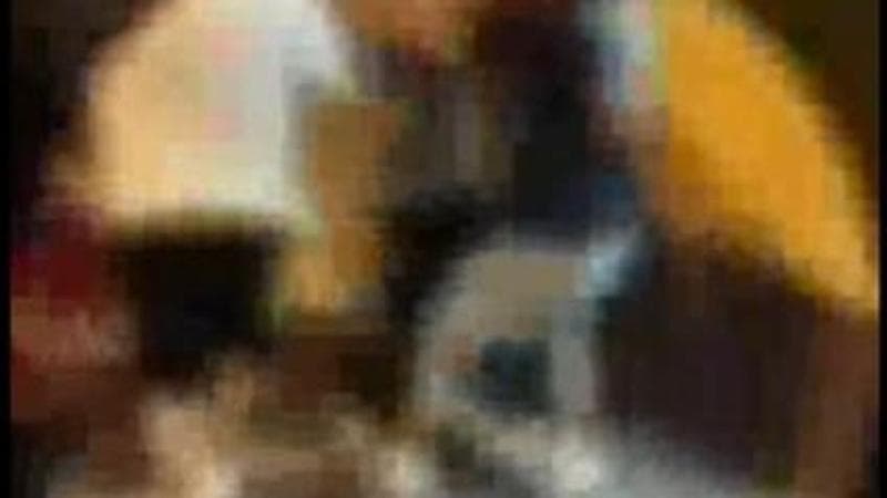 Immagine del post 11673 - Bari Taranto, molesta ragazzina di 13 anni e viene linciato dalla folla: salvato dai carabinieri - Bari