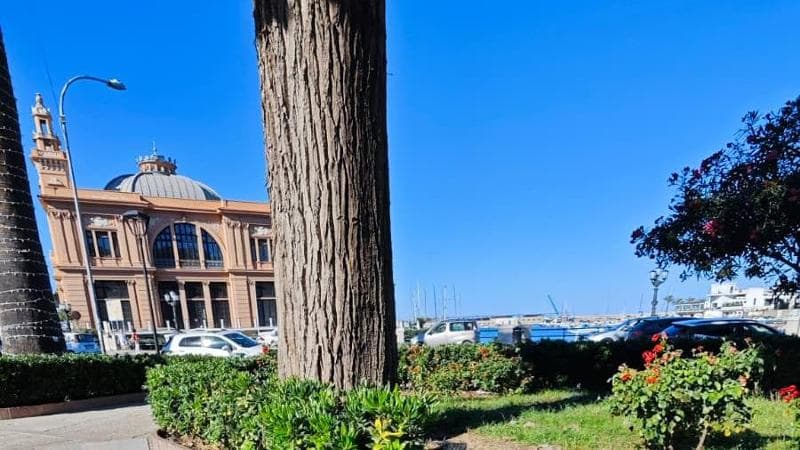 Immagine del post 11643 - Bari “Irrigazione manomessa”: a Bari è caccia ai sabotatori dei parchi e dei giardini - Bari
