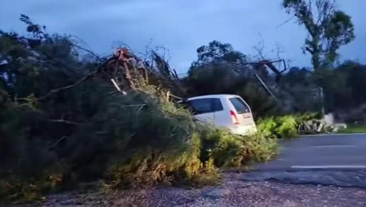 Immagine del post 17293 - Bari Tromba d’aria nel Brindisino: cadono alberi e muri. Sindaco di Oria: “Emergenza, Regione ci aiuti” - Bari