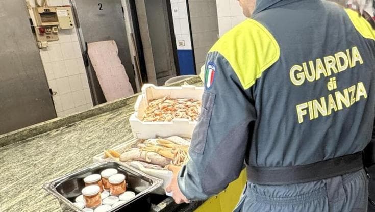 Gallipoli e Porto Cesareo, blitz in pescherie e ristoranti: sequestrati pesce e polpa di ricci - Bari