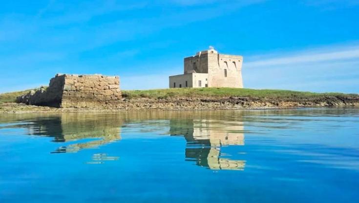 Immagine del post 7328 - Bari Torre Guaceto nella top 30 delle migliori riserve naturali al mondo: “Bellezza da proteggere” - Bari